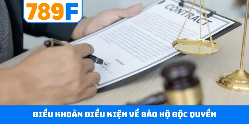 Điều khoản điều kiện về bảo hộ độc quyền