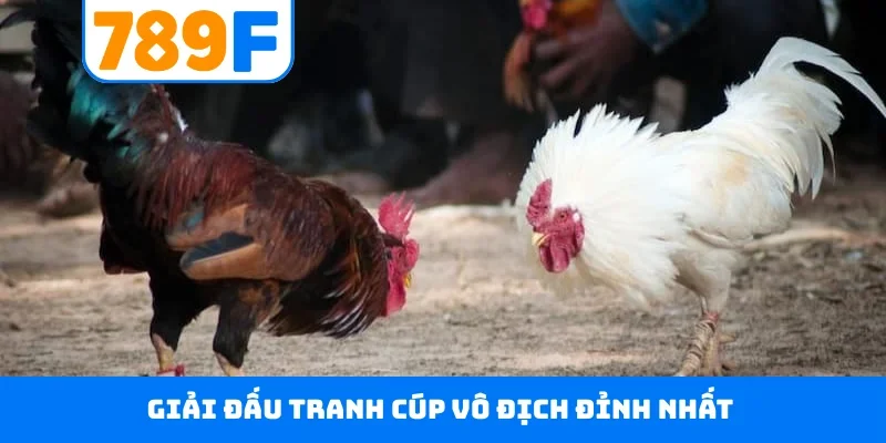 Giải đấu tranh cúp vô địch đỉnh nhất