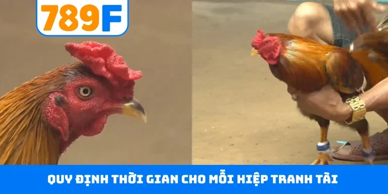Quy định thời gian cho mỗi hiệp tranh tài