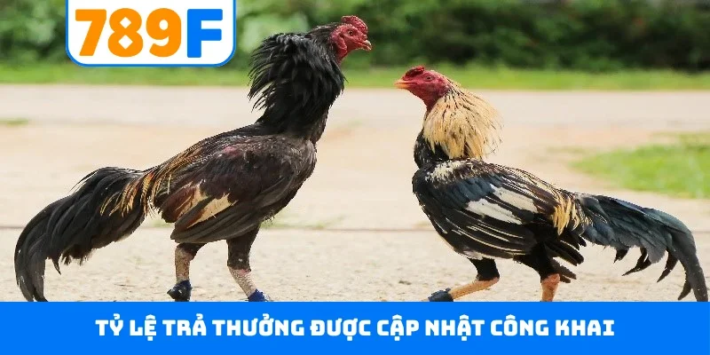 Tỷ lệ trả thưởng được cập nhật công khai